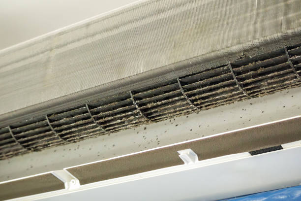 Best Local Air Duct Cleaning Services  in Rock Hill, SC
